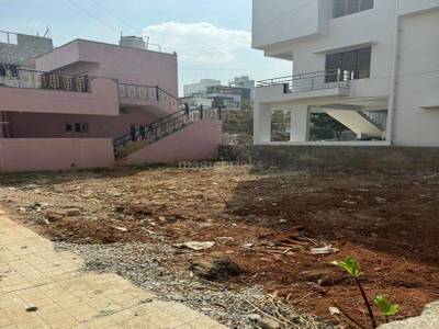 76954891_1_1736422199794-379_300_450