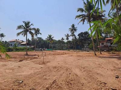 77722721_2_151PlotsForSaleCherukoleMavelikaraFloodFreeArearesize_300_450